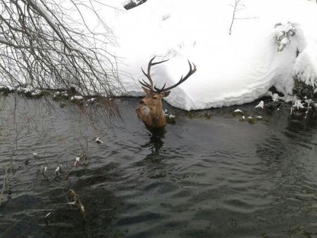 Re: Un nuevo ciclo llega....vuelve el agua y con ella la vida.